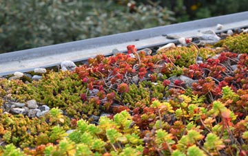 the cost of Yarningale Common green roof installation